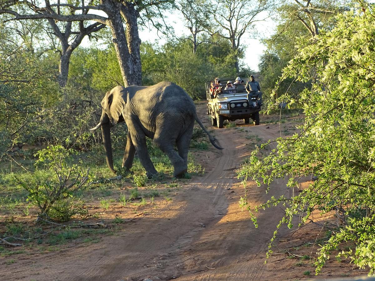 Ku Sungula Safari Lodge Balule Game Reserve Exterior foto